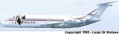 Ricostruzione del DC-9 ITAVIA - copyright Luigi Di Stefano