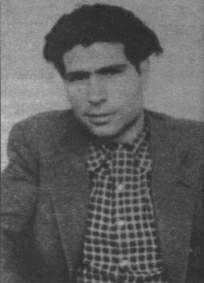 {short description of image}