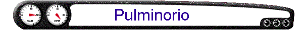 Pulminorio
