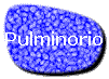 Pulminorio