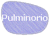 Pulminorio