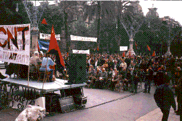 Mayo1.gif (64873 bytes)