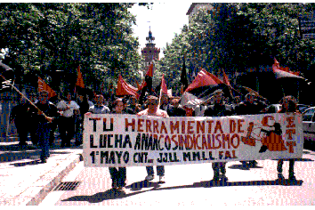 Mayo2.gif (49874 bytes)