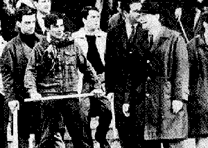 wpe2.gif (10804 byte)