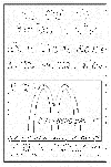 Boicotta McDonald's